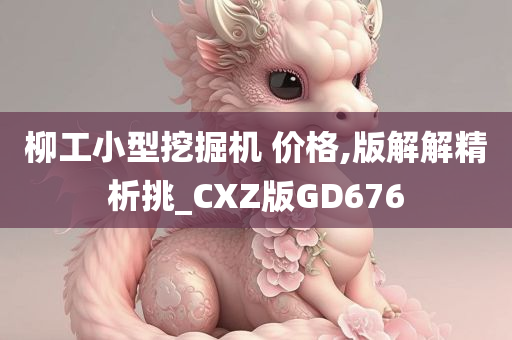 柳工小型挖掘机 价格,版解解精析挑_CXZ版GD676