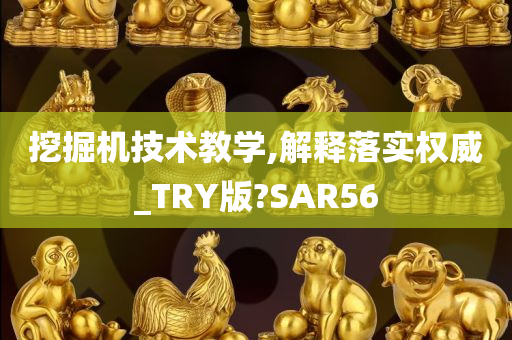 挖掘机技术教学,解释落实权威_TRY版?SAR56