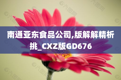 南通亚东食品公司,版解解精析挑_CXZ版GD676