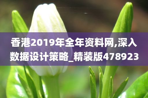 香港2019年全年资料网,深入数据设计策略_精装版478923