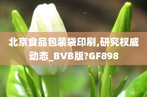 北京食品包装袋印刷,研究权威动态_BVB版?GF898