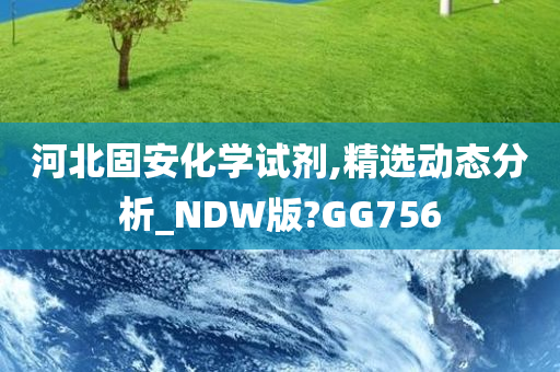 河北固安化学试剂,精选动态分析_NDW版?GG756