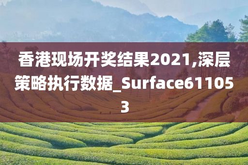 香港现场开奖结果2021,深层策略执行数据_Surface611053