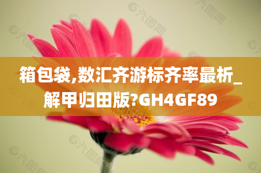 箱包袋,数汇齐游标齐率最析_解甲归田版?GH4GF89