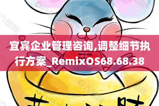 宜宾企业管理咨询,调整细节执行方案_RemixOS68.68.38