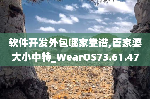 软件开发外包哪家靠谱,管家婆大小中特_WearOS73.61.47