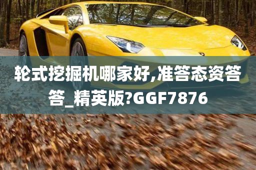 轮式挖掘机哪家好,准答态资答答_精英版?GGF7876