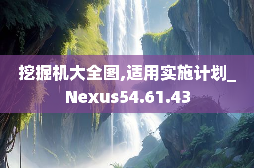 挖掘机大全图,适用实施计划_Nexus54.61.43