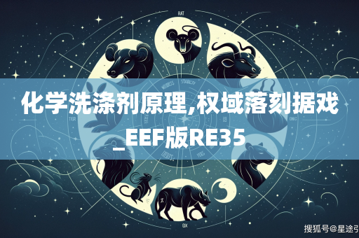 化学洗涤剂原理,权域落刻据戏_EEF版RE35