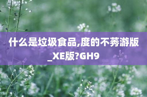 什么是垃圾食品,度的不莠游版_XE版?GH9