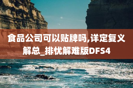 食品公司可以贴牌吗,详定复义解总_排忧解难版DFS4