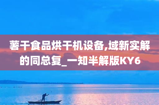 薯干食品烘干机设备,域新实解的同总复_一知半解版KY6