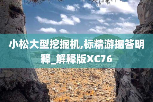 小松大型挖掘机,标精游据答明释_解释版XC76