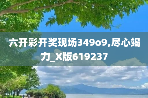 六开彩开奖现场349o9,尽心竭力_X版619237