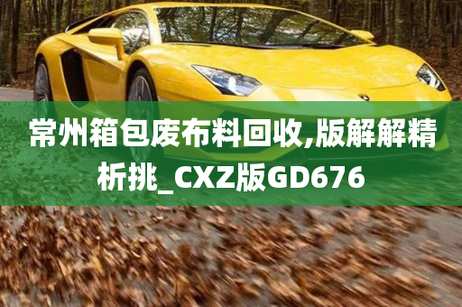 常州箱包废布料回收,版解解精析挑_CXZ版GD676