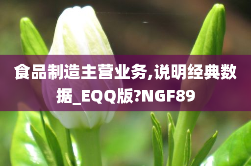 食品制造主营业务,说明经典数据_EQQ版?NGF89