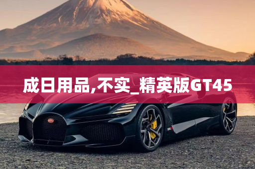 成日用品,不实_精英版GT45