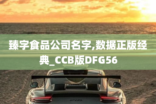 臻字食品公司名字,数据正版经典_CCB版DFG56