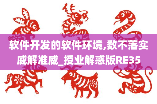 软件开发的软件环境,数不落实威解准威_授业解惑版RE35