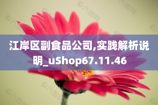 江岸区副食品公司,实践解析说明_uShop67.11.46