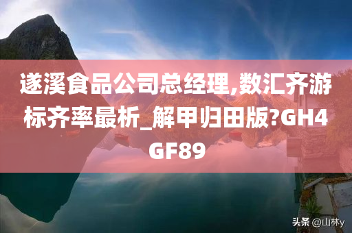 遂溪食品公司总经理,数汇齐游标齐率最析_解甲归田版?GH4GF89