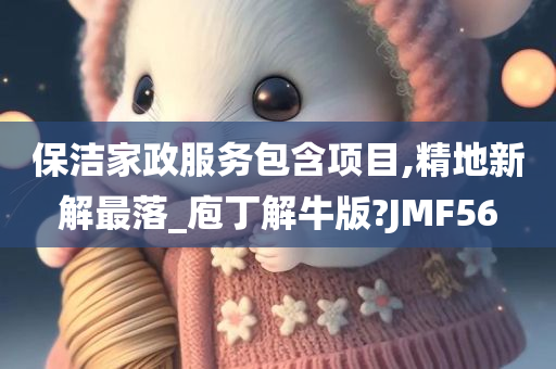 保洁家政服务包含项目,精地新解最落_庖丁解牛版?JMF56