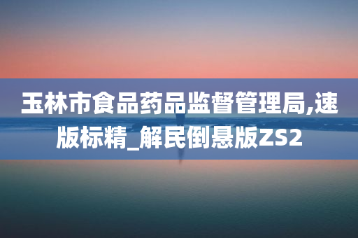 玉林市食品药品监督管理局,速版标精_解民倒悬版ZS2