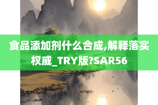 食品添加剂什么合成,解释落实权威_TRY版?SAR56