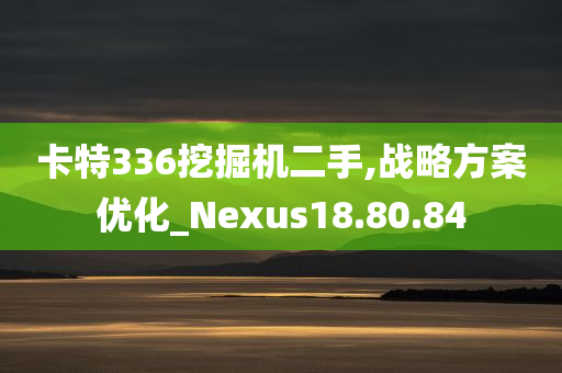 卡特336挖掘机二手,战略方案优化_Nexus18.80.84