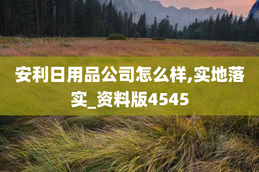 安利日用品公司怎么样,实地落实_资料版4545