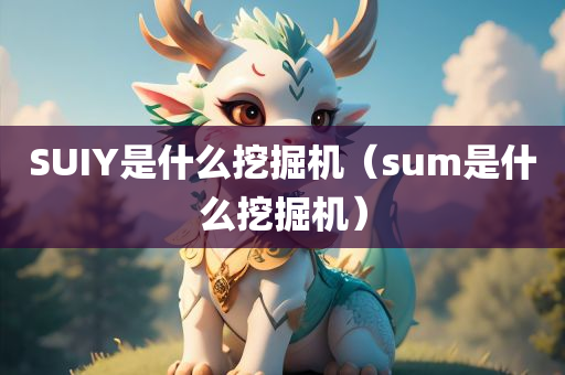 SUIY是什么挖掘机（sum是什么挖掘机）