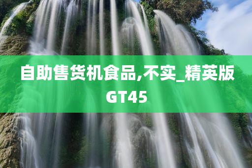 自助售货机食品,不实_精英版GT45