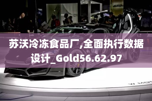 苏沃冷冻食品厂,全面执行数据设计_Gold56.62.97