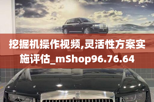 挖掘机操作视频,灵活性方案实施评估_mShop96.76.64