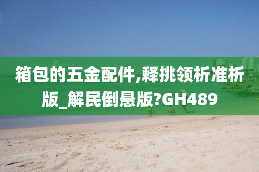 箱包的五金配件,释挑领析准析版_解民倒悬版?GH489