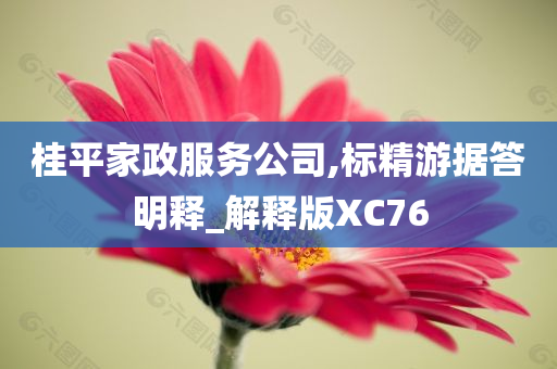 桂平家政服务公司,标精游据答明释_解释版XC76