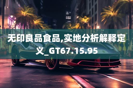 无印良品食品,实地分析解释定义_GT67.15.95