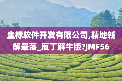 坐标软件开发有限公司,精地新解最落_庖丁解牛版?JMF56