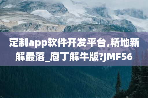 定制app软件开发平台,精地新解最落_庖丁解牛版?JMF56