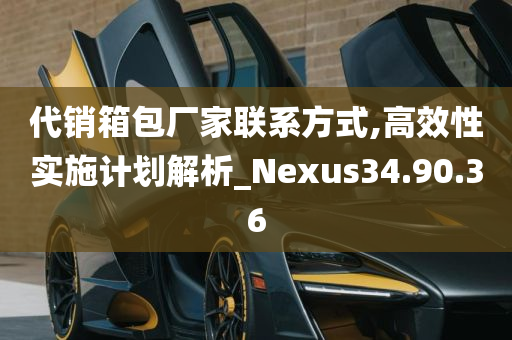 代销箱包厂家联系方式,高效性实施计划解析_Nexus34.90.36