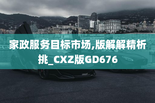 家政服务目标市场,版解解精析挑_CXZ版GD676