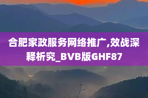 合肥家政服务网络推广,效战深释析究_BVB版GHF87