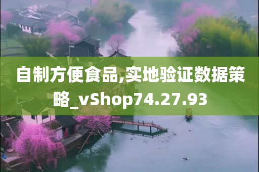 自制方便食品,实地验证数据策略_vShop74.27.93