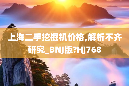 上海二手挖掘机价格,解析不齐研究_BNJ版?HJ768