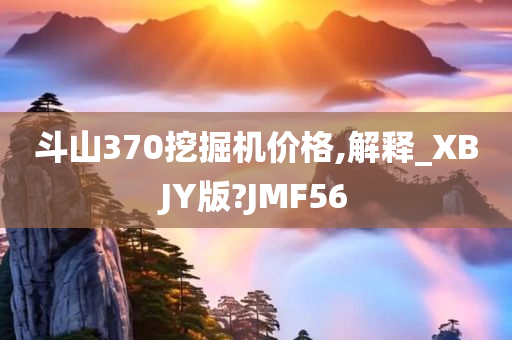 斗山370挖掘机价格,解释_XBJY版?JMF56