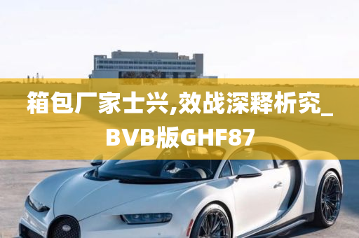 箱包厂家士兴,效战深释析究_BVB版GHF87