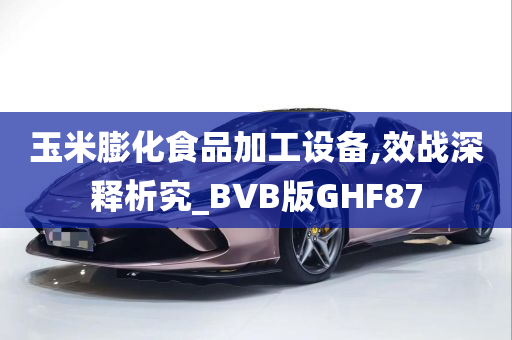 玉米膨化食品加工设备,效战深释析究_BVB版GHF87