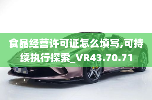 食品经营许可证怎么填写,可持续执行探索_VR43.70.71