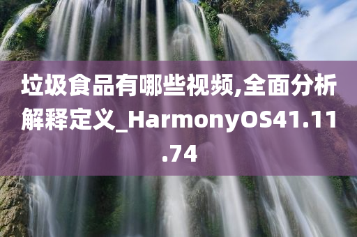 垃圾食品有哪些视频,全面分析解释定义_HarmonyOS41.11.74