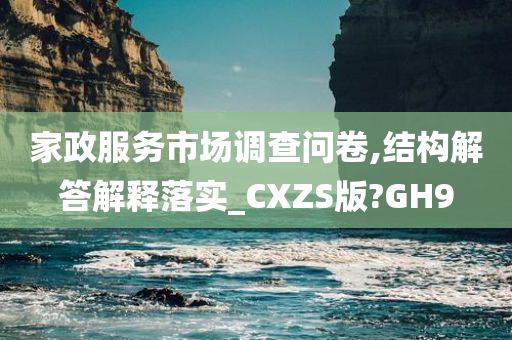 家政服务市场调查问卷,结构解答解释落实_CXZS版?GH9